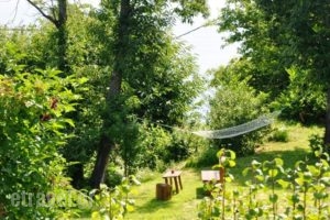 Villa Ton Rodon_best deals_Villa_Thessaly_Magnesia_Mouresi