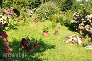 Villa Ton Rodon_lowest prices_in_Villa_Thessaly_Magnesia_Mouresi