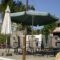 Studios Kyriaki hollidays
