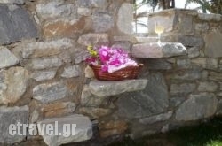 Chryssalis Garden Apartments hollidays Chryssalis Garden Apartments hollidays