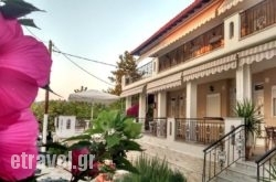 Afroditi Kiourtsi hollidays Afroditi Kiourtsi hollidays