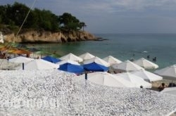 Green Velvet Hotel hollidays