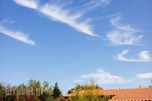 Oasis Village Camping Bungalows_best prices_in_Hotel_Central Greece_Evia_Prokopi