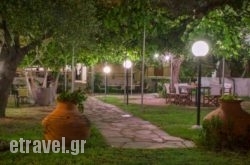 Argiro Studios hollidays