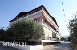 Zagkas Hotel hollidays Zagkas Hotel hollidays