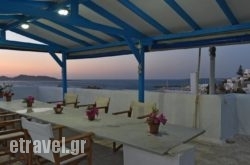 Alpha Studios hollidays Alpha Studios hollidays