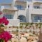 Annio Studios_accommodation_in_Hotel_Cyclades Islands_Paros_Paros Rest Areas