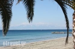 Aegean Blue Beach Hotel hollidays Aegean Blue Beach Hotel hollidays