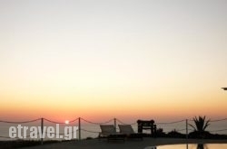 Thea Studios hollidays