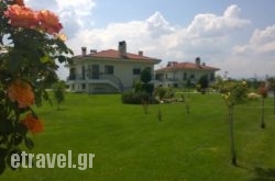 Mouses Apartments hollidays Mouses Apartments hollidays