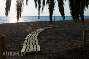 Rex Hotel_holidays_in_Hotel_Peloponesse_Ilia_Kakovatos