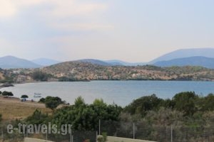 Gr8 Luxury Villas_lowest prices_in_Villa_Peloponesse_Argolida_Ermioni