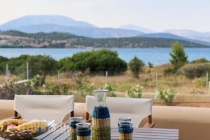 Gr8 Luxury Villas_best deals_Villa_Peloponesse_Argolida_Ermioni