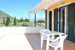 Niriton Pension_best prices_in_Hotel_Ionian Islands_Lefkada_Lefkada's t Areas