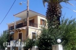Fenareti Apartments hollidays