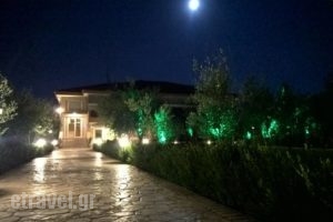 Gaia Studios & Apartments_holidays_in_Apartment_Macedonia_Halkidiki_Nea Kallikrateia