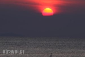 Maistrali_best deals_Hotel_Cyclades Islands_Syros_Galissas