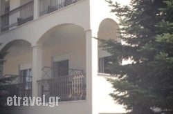 Estia Studios hollidays Estia Studios hollidays