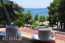 Studios And Apartmentsmeri hollidays