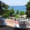 Studios And Apartmentsmeri_accommodation_in_Apartment_Sporades Islands_Skopelos_Skopelos Chora