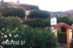 Despoina Apartments hollidays Despoina Apartments hollidays