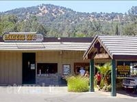 Iris hollidays Iris hollidays