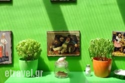 Dioskouros Hostel hollidays Dioskouros Hostel hollidays