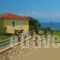 Alexandros Apartments hollidays