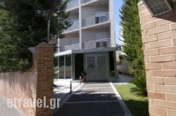 X Dream One hollidays