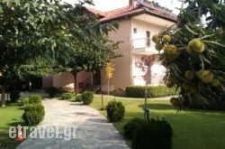 Alisachni hollidays Alisachni hollidays