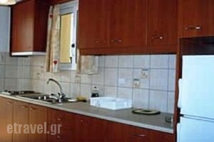 Tzanetos Studios_holidays_in_Room_Ionian Islands_Zakinthos_Laganas
