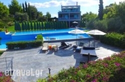 Villa No.10 hollidays Villa No.10 hollidays