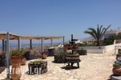 Santorini Villas " Traditional House" hollidays Santorini Villas " Traditional House" hollidays