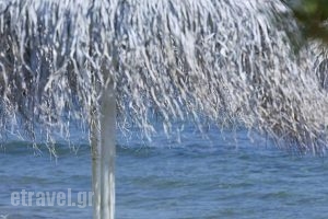 CHC Elysium Boutique Hotel_holidays_in_Hotel___