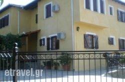 Olga Studios hollidays