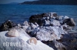 Xenon Christina hollidays Xenon Christina hollidays