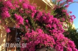 Eriketi Studios hollidays Eriketi Studios hollidays