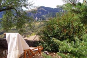 Hanna House_best deals_Hotel_Peloponesse_Korinthia_Xilokastro