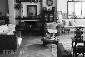 Rex Hotel_best prices_in_Hotel_Peloponesse_Ilia_Kakovatos