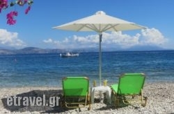 Blue Sky Studios hollidays Blue Sky Studios hollidays