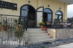 Villa Camellia hollidays Villa Camellia hollidays