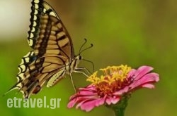 Paul'S Garden Studios hollidays Paul'S Garden Studios hollidays