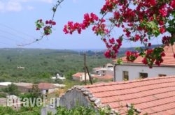 Fenareti'S House hollidays Fenareti'S House hollidays