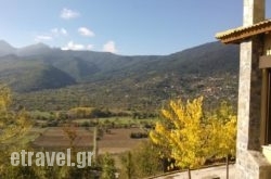 Olvios Hotel hollidays Olvios Hotel hollidays