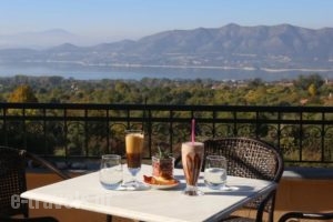 Agnanti_lowest prices_in_Hotel_Macedonia_Kozani_Vlasti