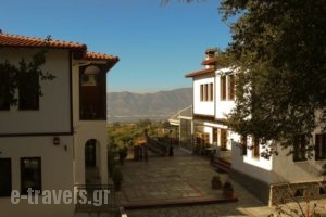 Agnanti_travel_packages_in_Macedonia_Kozani_Vlasti
