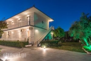 Nastazia Studios_travel_packages_in_Ionian Islands_Zakinthos_Laganas