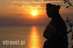 Hydra Erato hollidays Hydra Erato hollidays