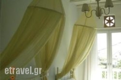 Eleni Studios hollidays