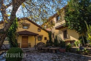 I Gonia Tis Linas_travel_packages_in_Central Greece_Evritania_Karpenisi